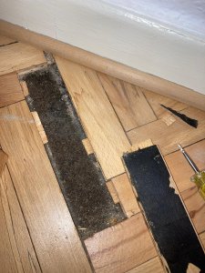 3BF11531-2356-44CC-B485-A08580CCAEC7.jpeg