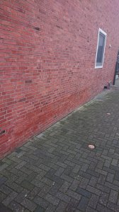DSC_6605.JPG