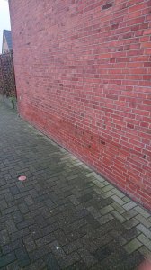 DSC_6606.JPG