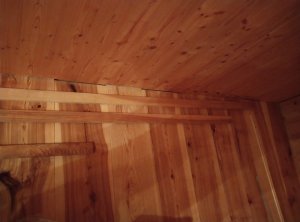 IMG_20220119_200508.jpg