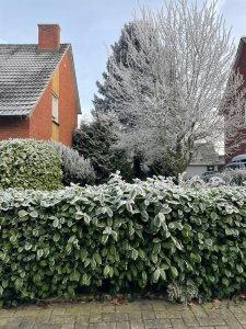 Ansicht Haus.jpg