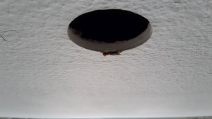 20220117_120719.jpg