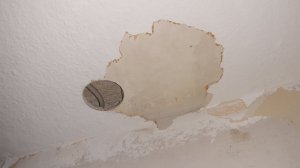 20220117_120914.jpg