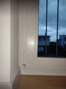 IMG_20220120_081149.jpg