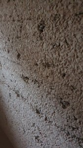 2021-12-08 11.36.30.jpg