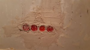 20220125_002817.jpg