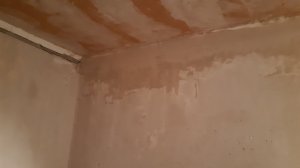 20220125_002834.jpg