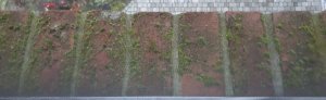 20220125_082637.jpg