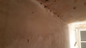 20220125_021004.jpg