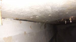 20220127_161217.jpg