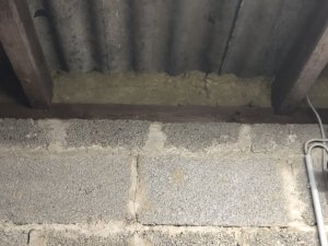 IMG_8164.JPG