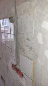 20220128_115449.jpg