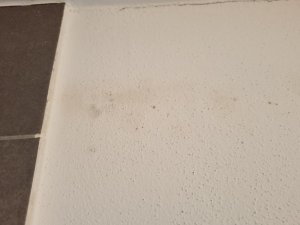 20220130_110941.jpg