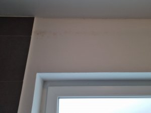 20220130_110930.jpg