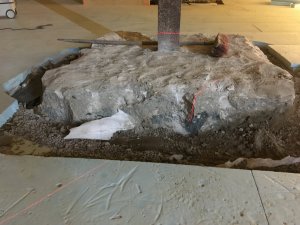 2022-01-30 13.43.52.JPG