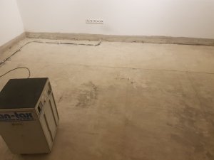 20220130_213118.jpg