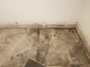 20220130_213017.jpg