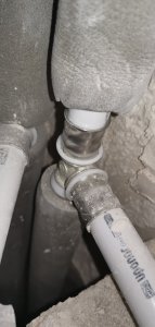 IMG_20220131_161830.jpg