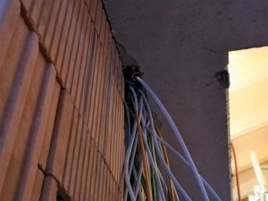 IMG_20220128_161947.jpg