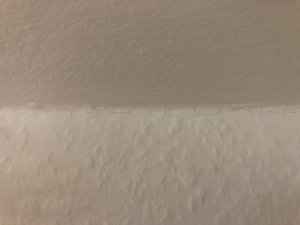 IMG_9666.jpg