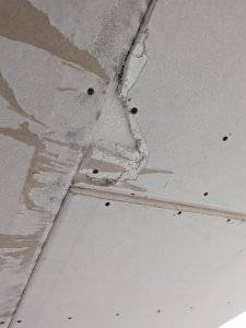 PXL_20220204_082745396.jpg