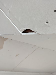 PXL_20220204_082805004.jpg
