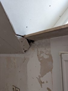 PXL_20220204_082848953.jpg