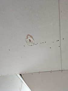 PXL_20220204_082948775.jpg