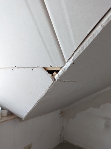 PXL_20220204_083106185.jpg