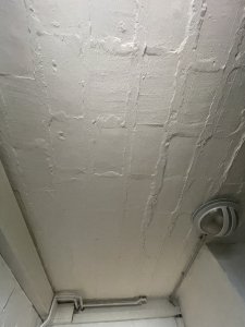4019FD54-E795-4E18-8B78-1593D00298B7.jpeg