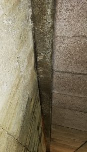 IMG_20211106_115404.jpg