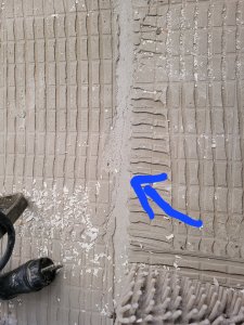 20220207_161036.jpg