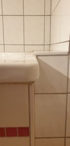 20220210_062513.jpg