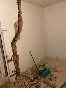 B451AB5B-068B-4E06-884B-8D37643B62FB.jpeg