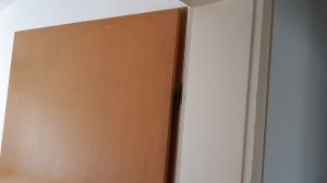 20220206_131301.jpg