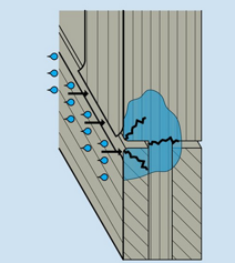 Screenshot 2022-02-11 183718.png