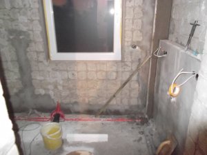 DSCF2229.JPG