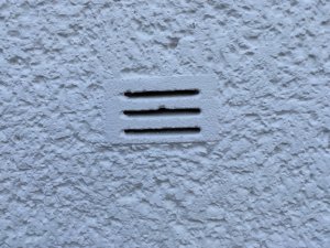 E1787726-9DFF-47A8-9147-97D145DDE704.jpeg