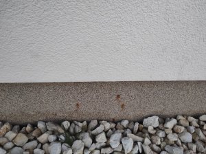 IMG_20220217_174025.jpg
