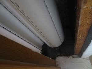 IMG_2295.JPG
