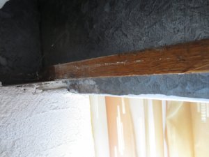 IMG_2298.JPG