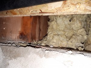 20220120_123547.jpg