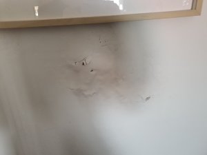 20220228_115742.jpg