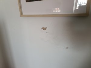 20220228_115802.jpg