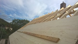 WP_20200824_17_05_15_Pro.jpg