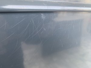 IMG_6960.jpeg