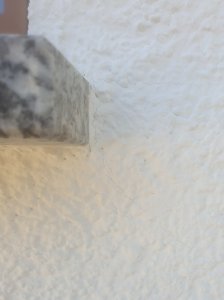 20220312_140858.jpg