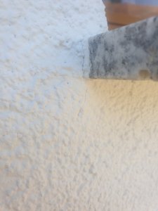 20220312_135333.jpg