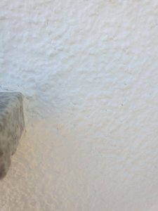 20220312_135324.jpg