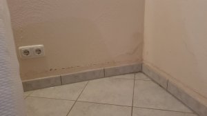 20220312_160425.jpg